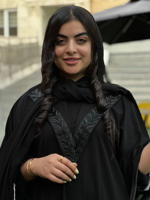 عبا نایس - تصویر 3