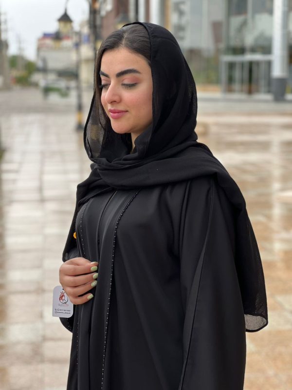 عبا ندی - تصویر 3